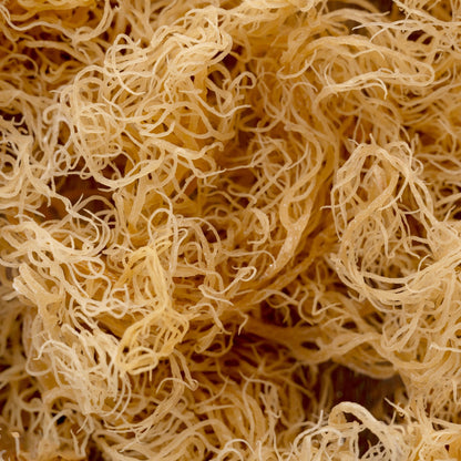 Raw Sea Moss